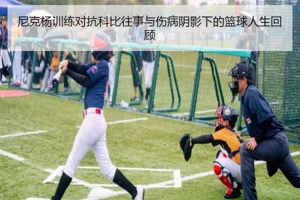 尼克杨训练对抗科比往事与伤病阴影下的篮球人生回顾